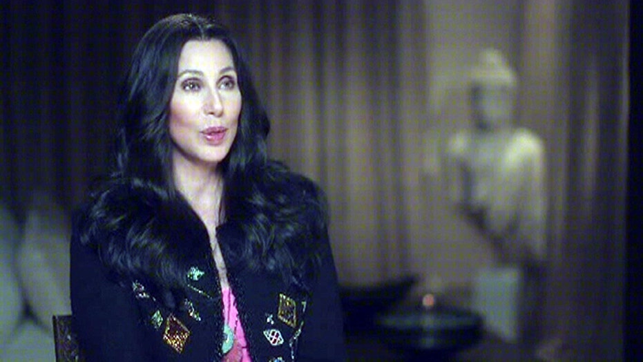 kelly faetanini cher
