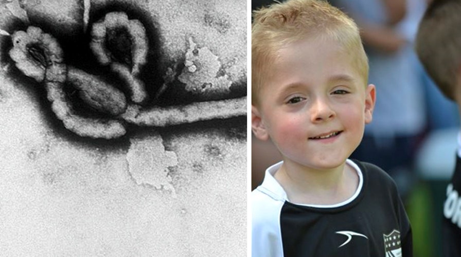 Health officials on alert for two viruses