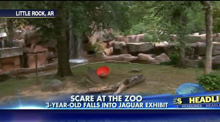 101114_zoo_2_1206