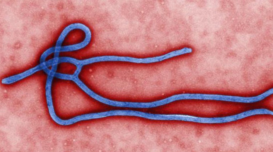 Second case of Ebola in the U.S. confirmed