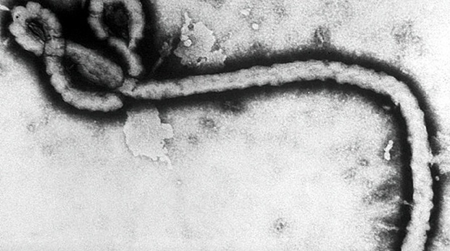 Kurtz: Stop the blame game on Ebola