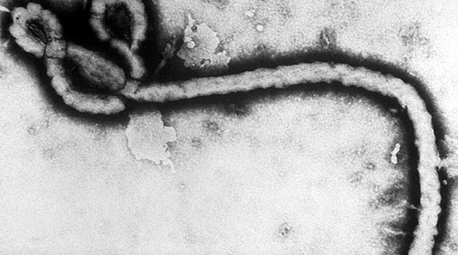 Kurtz: Stop the blame game on Ebola