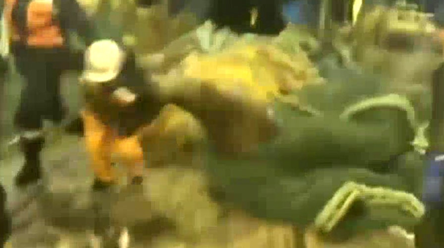 Sea lion tosses fisherman after being set free from net