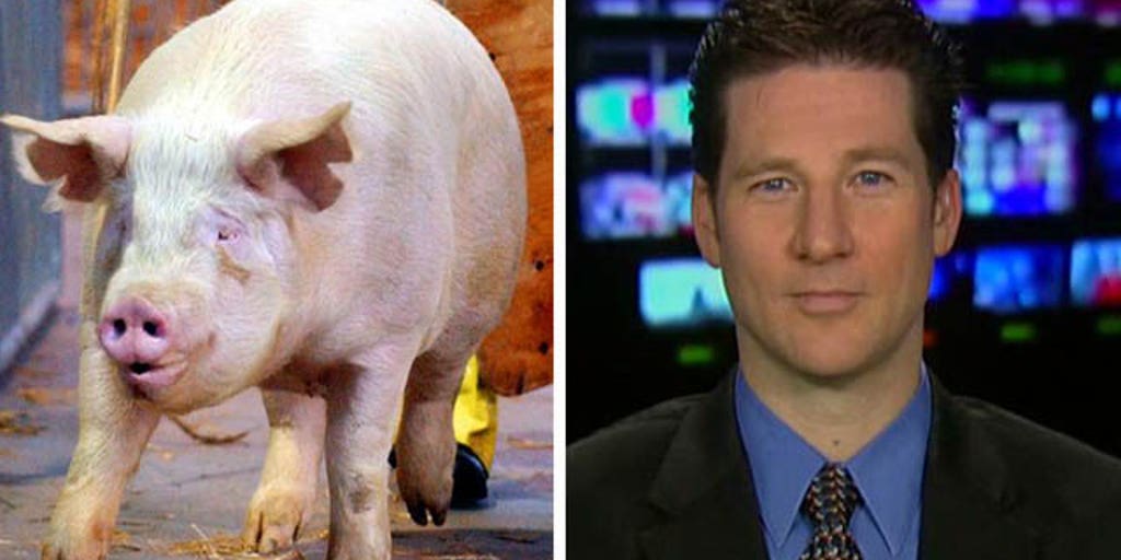Why is porkbarrel spending in a 'clean' budget deal? Fox News Video
