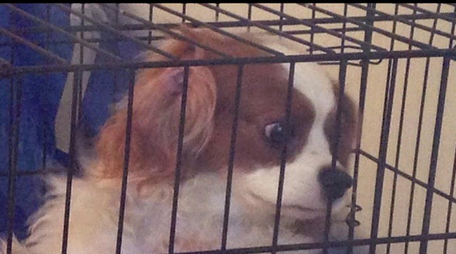 A look at 'Operation Bentley'