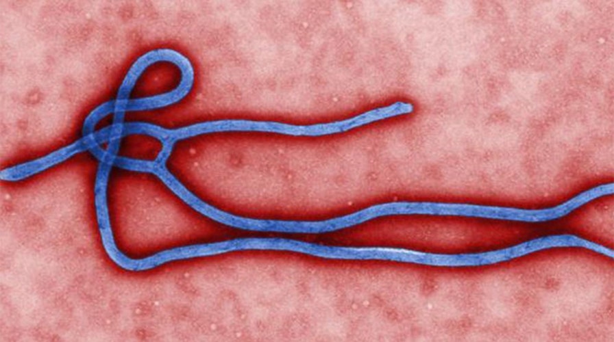 Bias Bash: Liberal press blames GOP for Ebola 'fear'