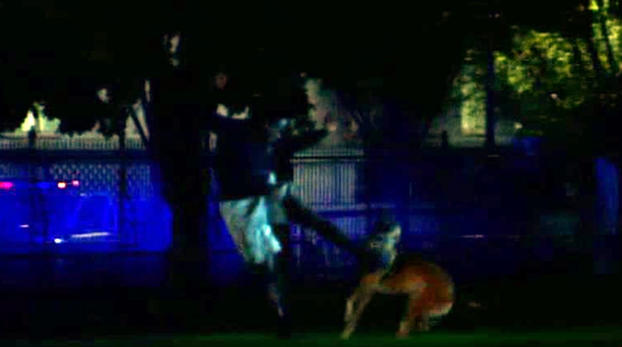 White House jumper kicks dog after scaling fence