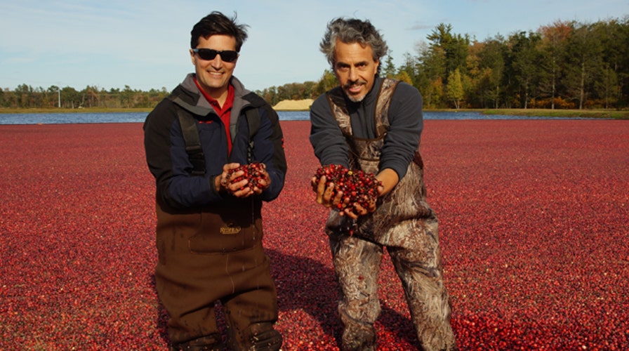 The health benefits of cranberries
