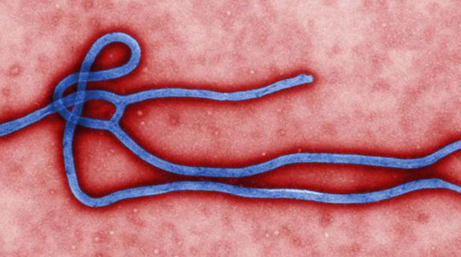 Bank on This: Ebola causes stock drop