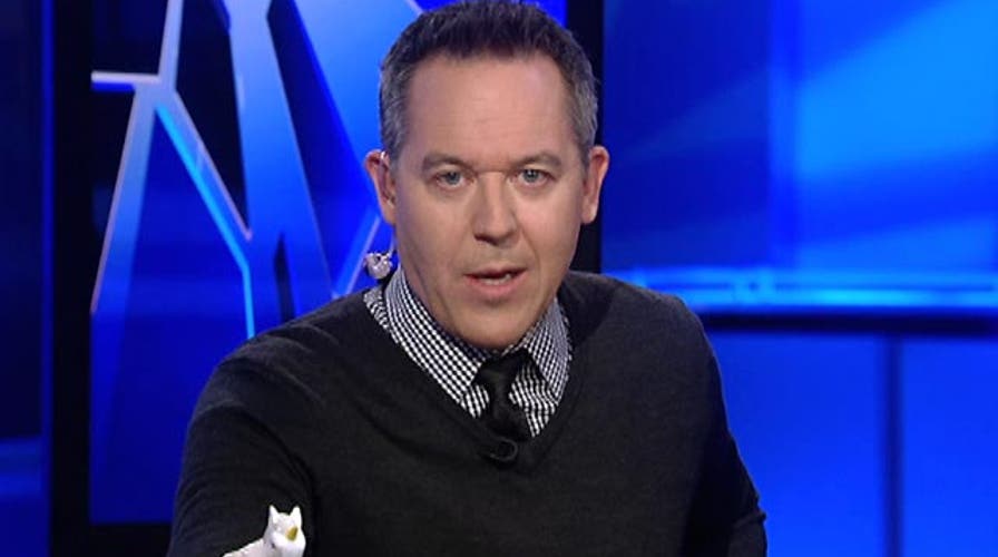 Gutfeld: Media already prepping for GOP's demise