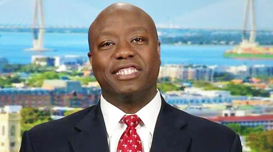 South Carolina elects first African-American to the Senate