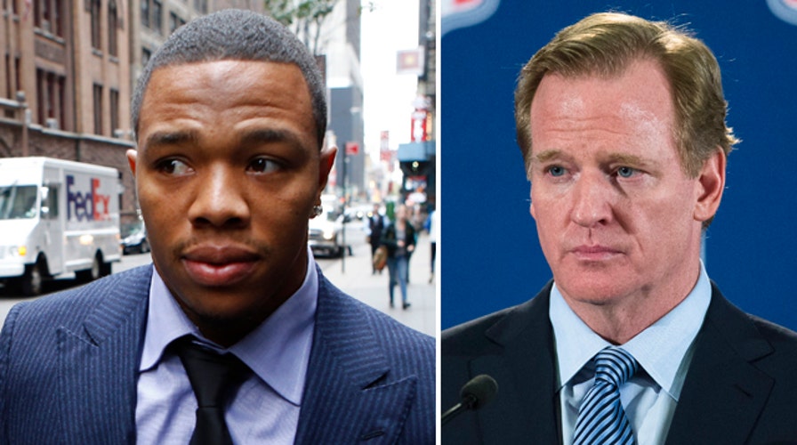 Roger Goodell testifies at Ray Rice appeal hearing