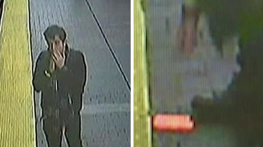 Man who took phone from a woman killed by train in custody