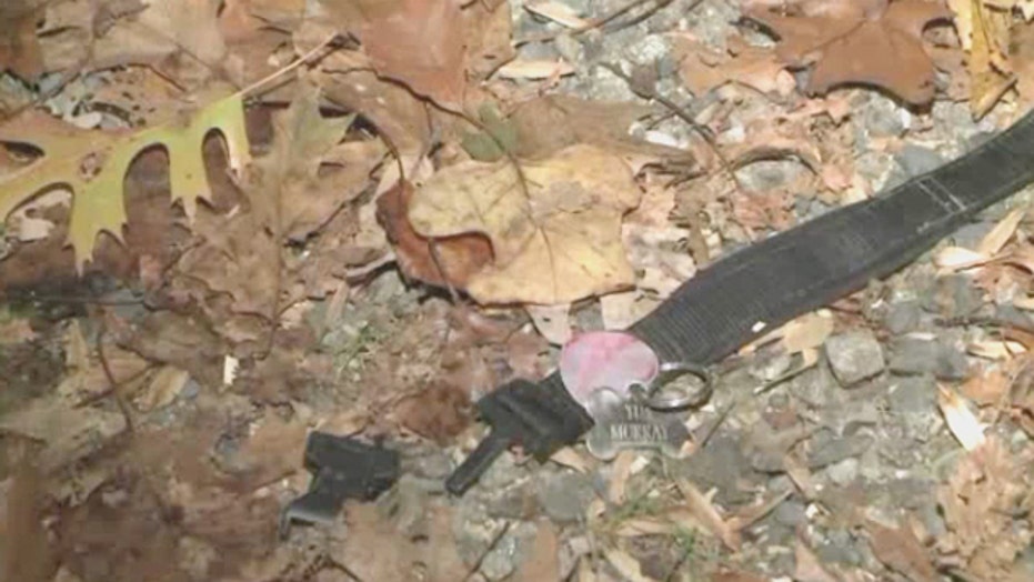 Connecticut woman recovering after pit bull chews off her arm, hand Fox News