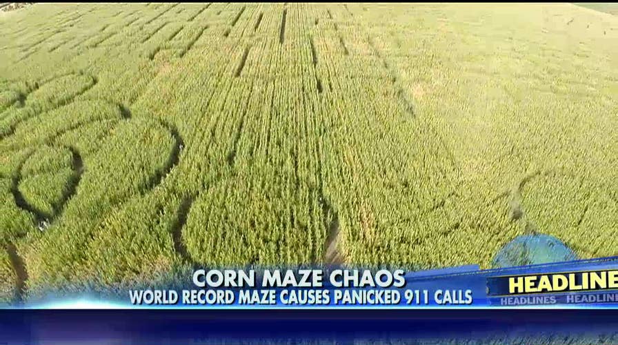 111314_Corn_0845