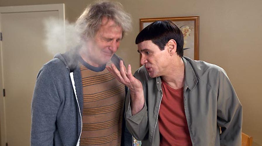 Harry and Lloyd return to the big screen