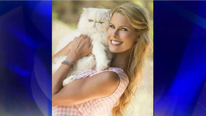 Yoda The Story Of A Cat And His Kittens Fox News