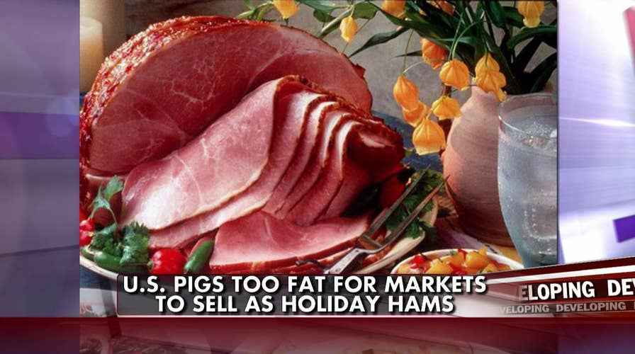 111914_ham