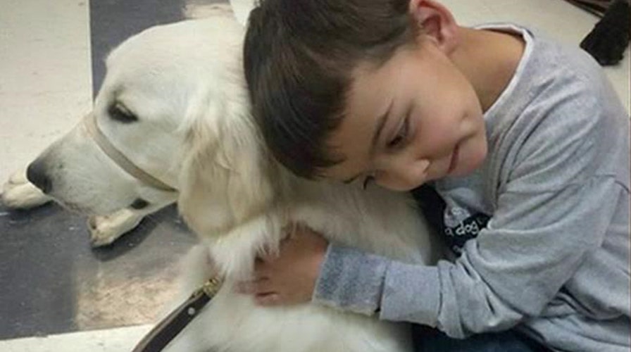 Family battles school over boy's service dog