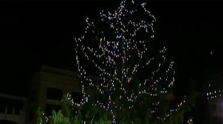 Pennsylvania town rejects 'ugly' Christmas tree 