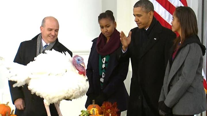 President pardons Thanksgiving turkey with off-hand gesture