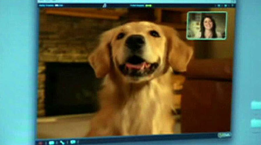 New device lets owners video chat with their pets