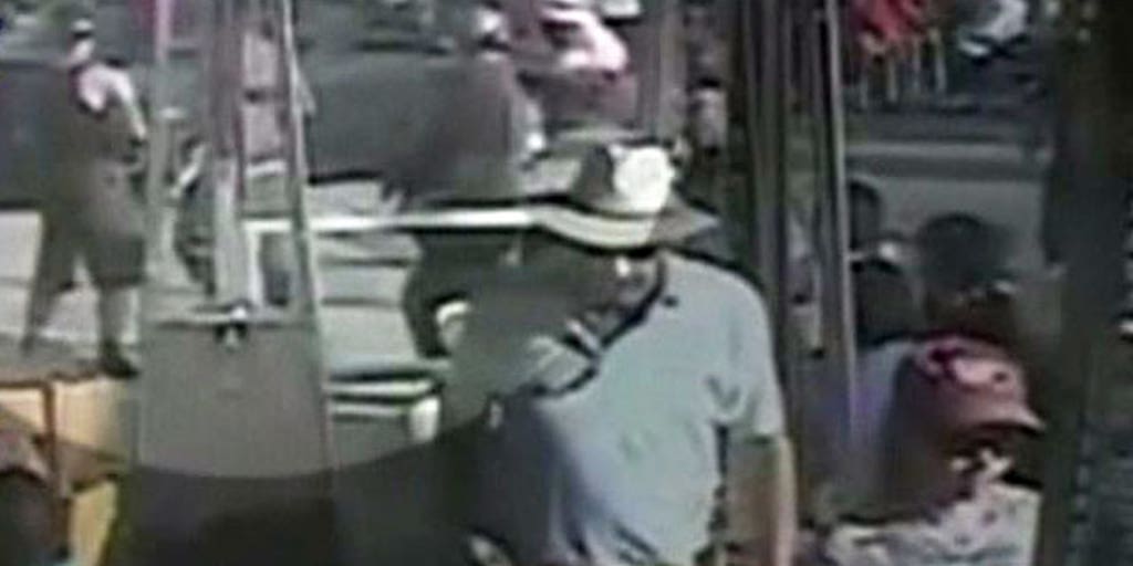 Driver charged in Venice Beach car rampage in court Fox News Video