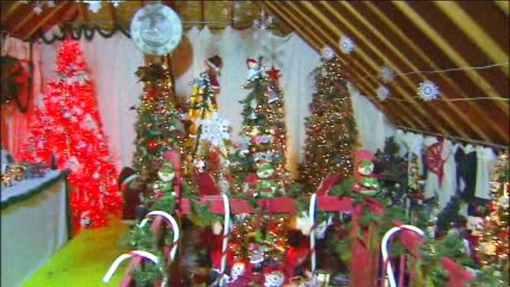 Woman Has 277 Christmas Trees In Her Home