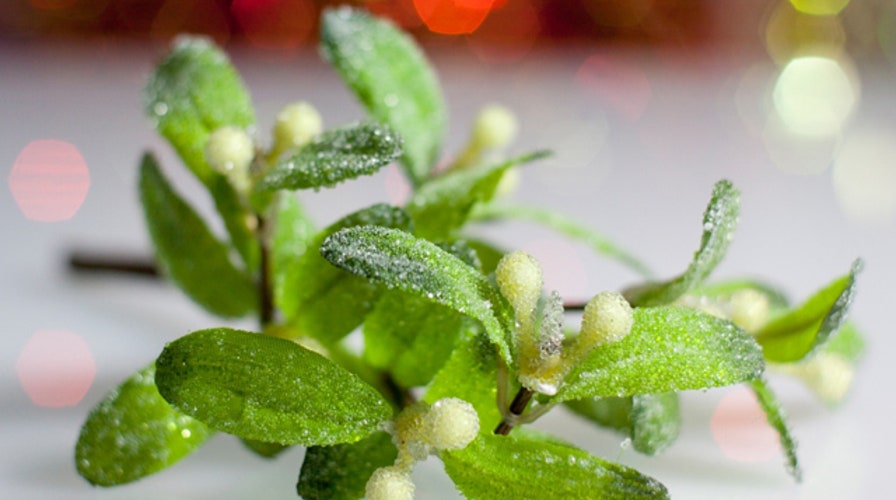 Mistletoe as medicine