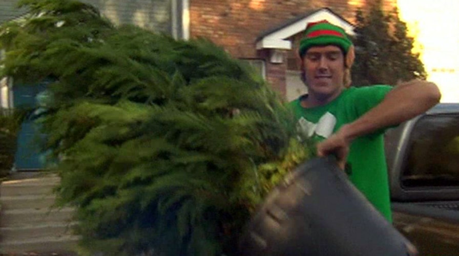Popsicle company turns into Christmas tree elves in winter