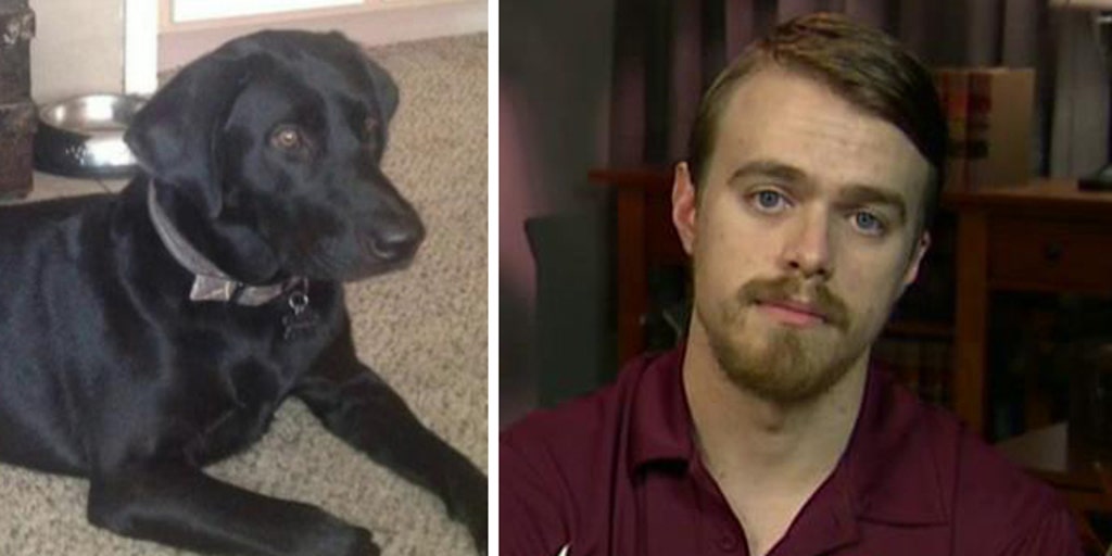 Vet goes to great lengths to save service dog after accident | Fox News