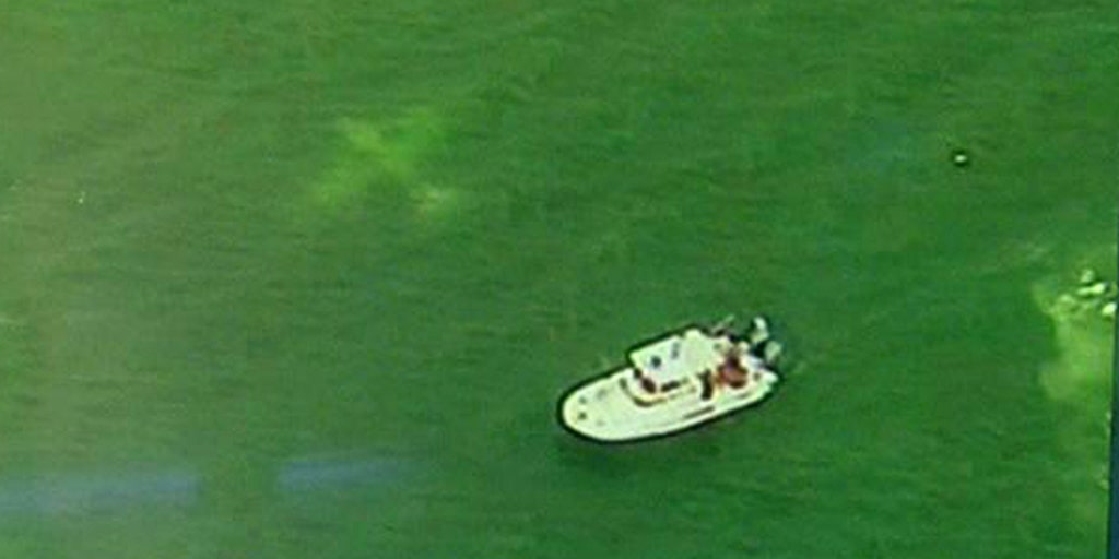 Two survive a singleengine plane crash Fox News Video