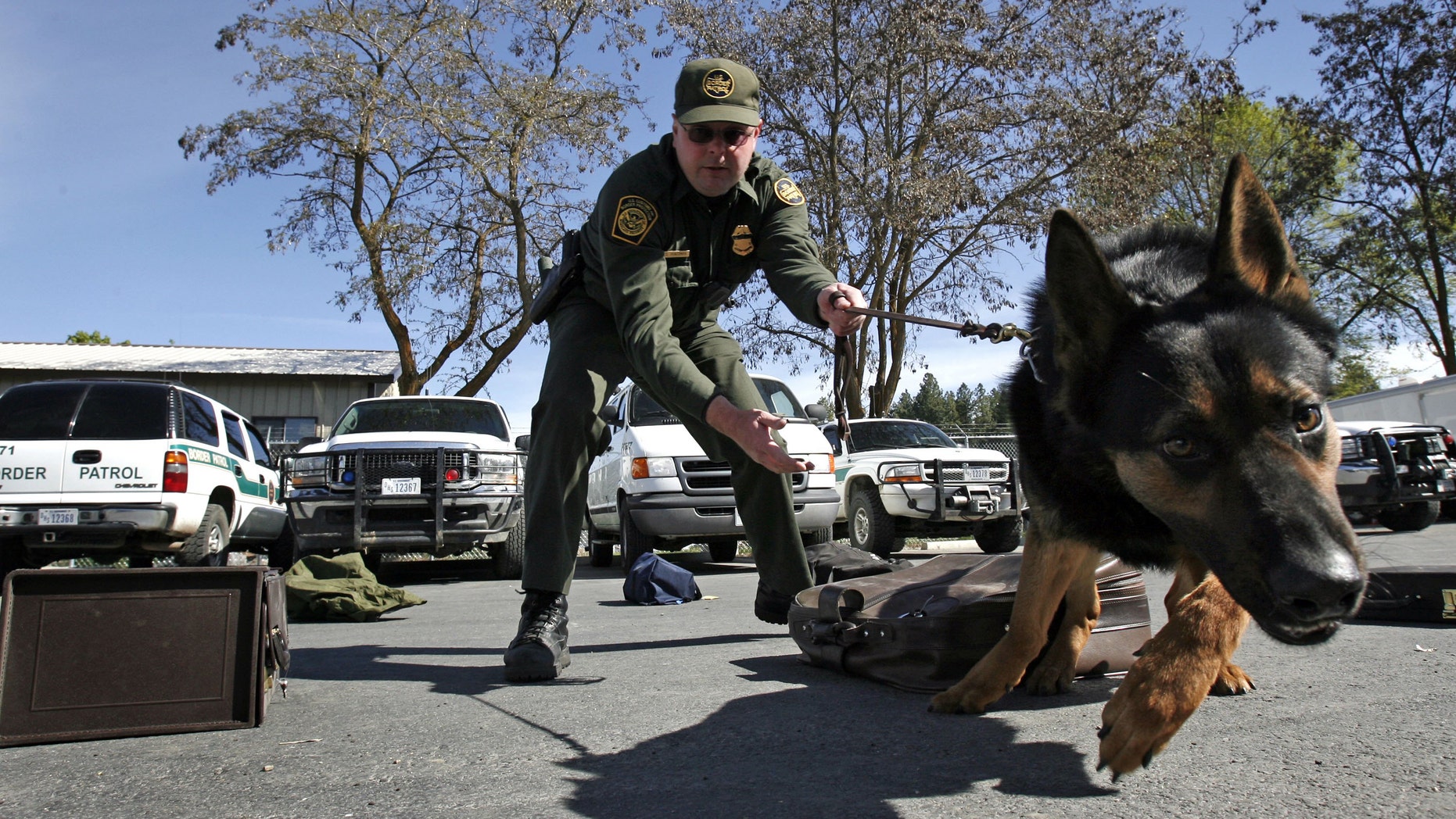 Image result for border patrol dog handler