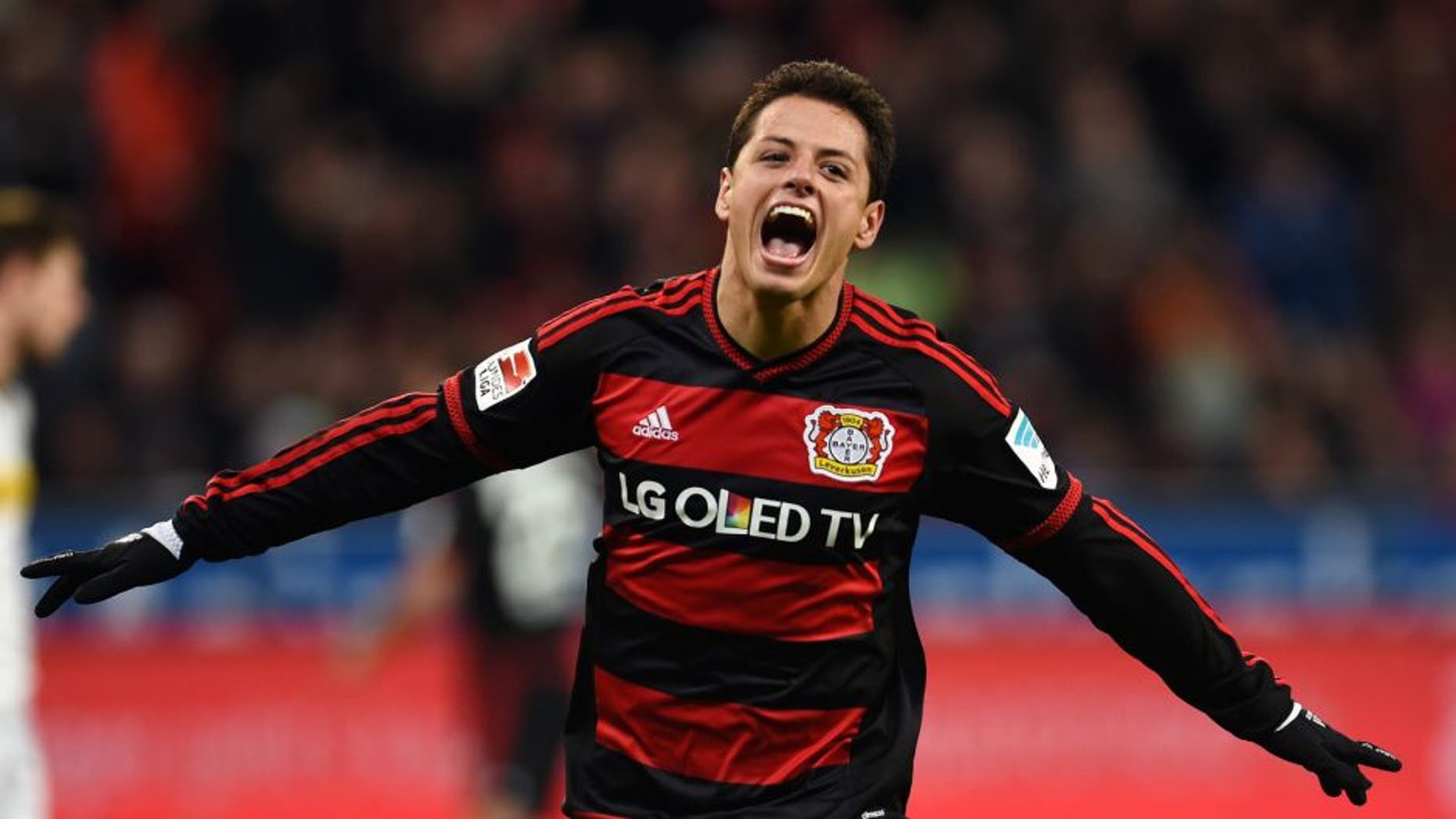 Leverkusen's Mexican striker Javier Hernandez celebrates after scoring during the German first division Bundesliga football match Bayer 04 Leverkusen vs Borussia Moenchengladbach in Leverkusen, western Germany, on December 12, 2015. AFP PHOTO / PATRIK STOLLARZ RESTRICTIONS: DURING MATCH TIME: DFL RULES TO LIMIT THE ONLINE USAGE TO 15 PICTURES PER MATCH AND FORBID IMAGE SEQUENCES TO SIMULATE VIDEO. == RESTRICTED TO EDITORIAL USE == FOR FURTHER QUERIES PLEASE CONTACT DFL DIRECTLY AT + 49 69 650050. / AFP / PATRIK STOLLARZ (Photo credit should read PATRIK STOLLARZ/AFP/Getty Images)