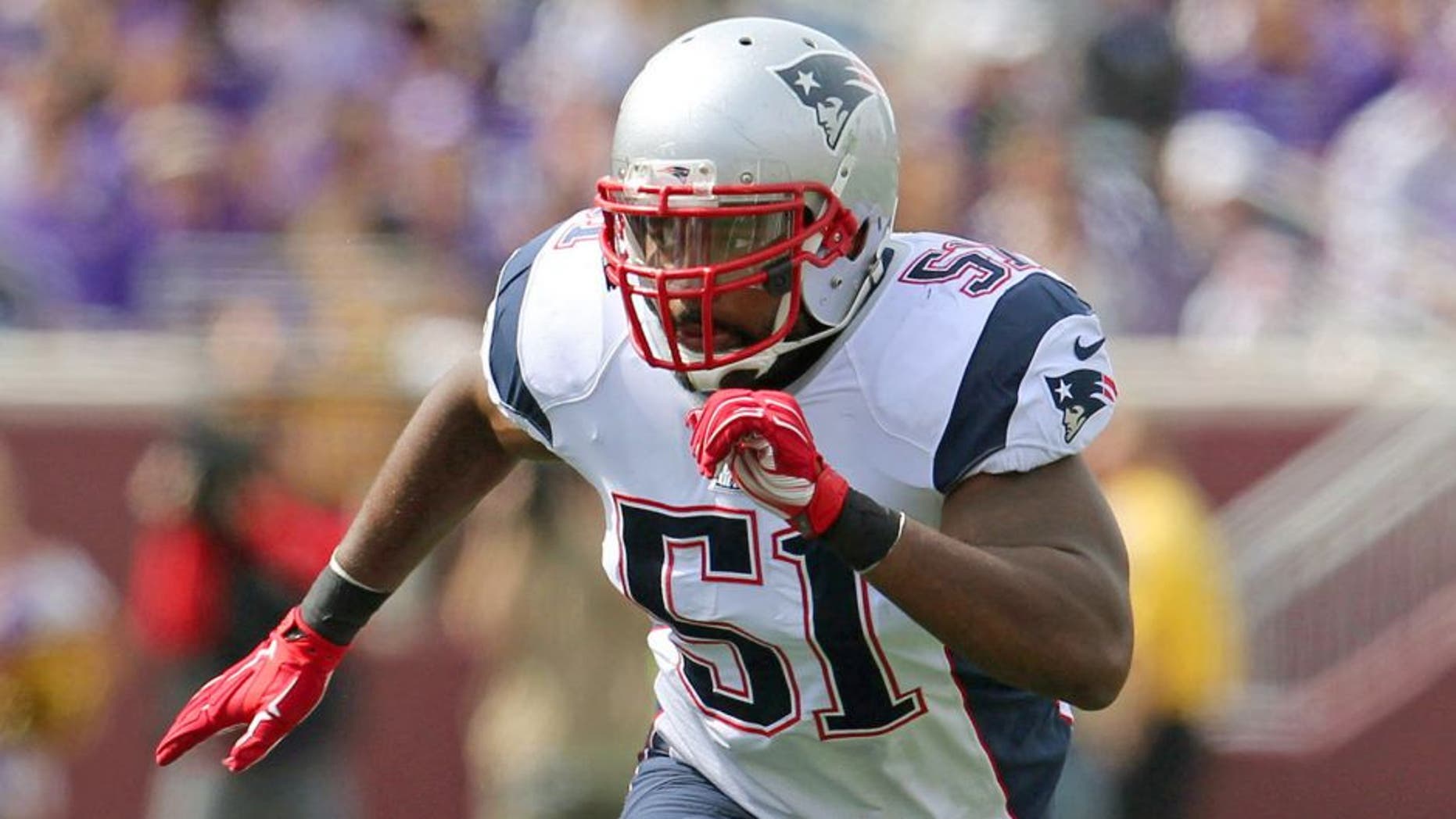 Sep 14, 2014; Minneapolis, MN, USA; New England Patriots linebacker Jerod Mayo (51) against the Minnesota Vikings at TCF Bank Stadium. The Patriots defeated the Vikings 30-7. Mandatory Credit: Brace Hemmelgarn-USA TODAY Sports