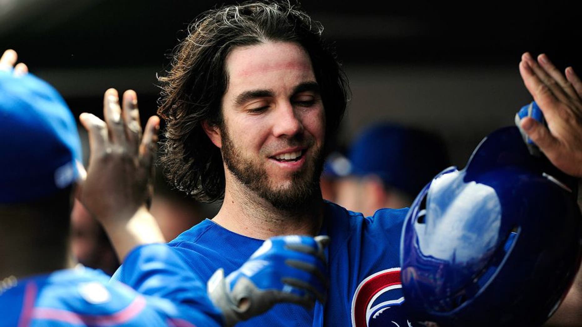 Sep 7, 2015; St. Louis, MO, USA; Chicago Cubs starting pitcher Dan Haren (50) is congratulated by teammates after driving in a run on a sacrifice fly off of St. Louis Cardinals relief pitcher Tyler Lyons (not pictured) during the fifth inning at Busch Stadium. Mandatory Credit: Jeff Curry-USA TODAY Sports