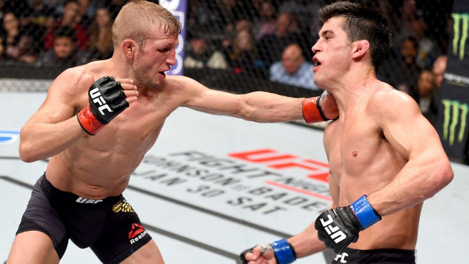BOSTON, MA - JANUARY 17: (L-R) TJ Dillashaw punches Dominick Cruz in their UFC bantamweight championship bout during the UFC Fight Night event inside TD Garden on January 17, 2016 in Boston, Massachusetts. (Photo by Jeff Bottari/Zuffa LLC/Zuffa LLC via Getty Images)