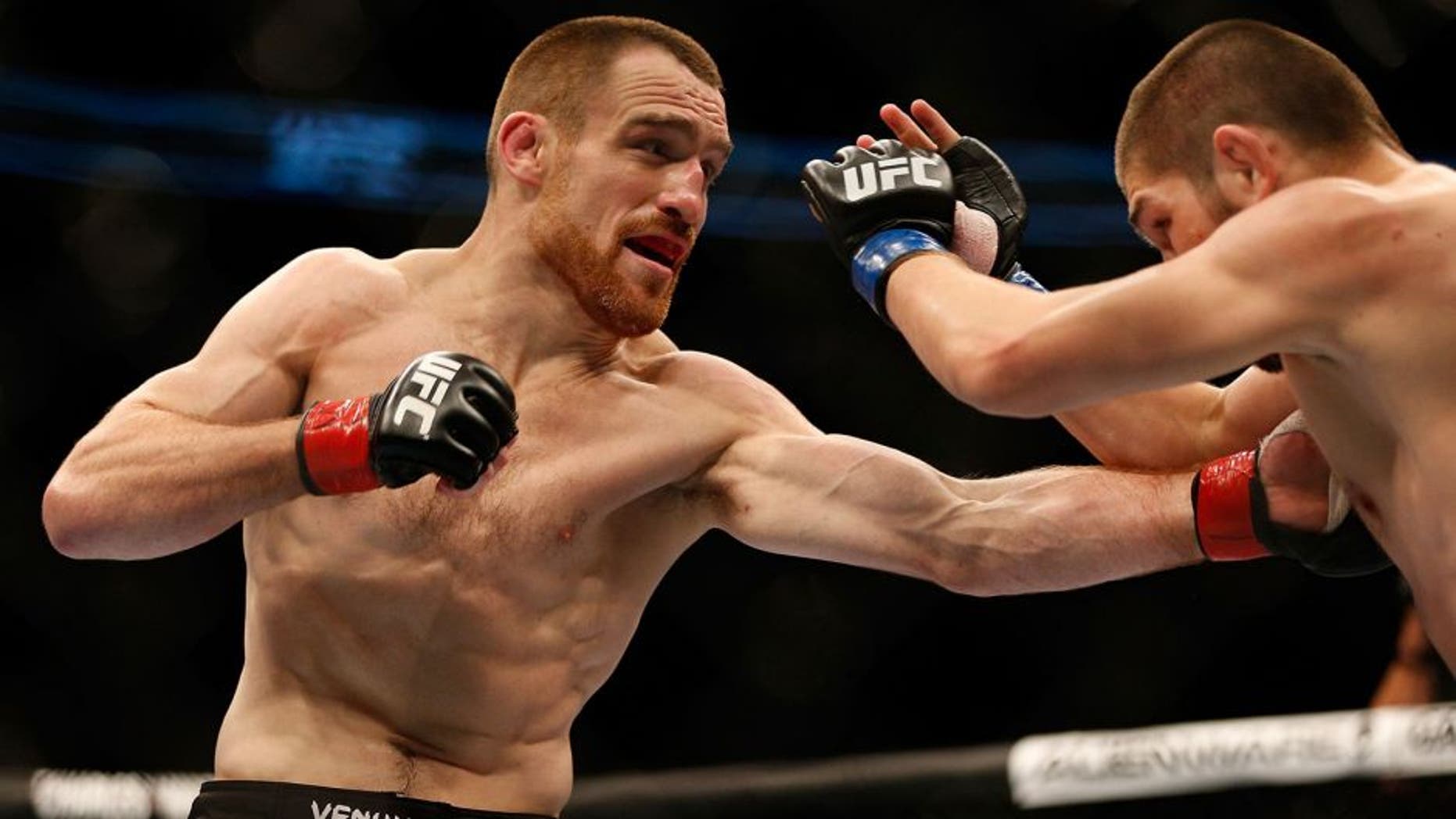 TORONTO, CANADA - SEPTEMBER 21: (L-R) Pat Healy punches Khabib Nurmagomedov in their UFC lightweight bout at the Air Canada Center on September 21, 2013 in Toronto, Ontario, Canada. (Photo by Josh Hedges/Zuffa LLC/Zuffa LLC via Getty Images)