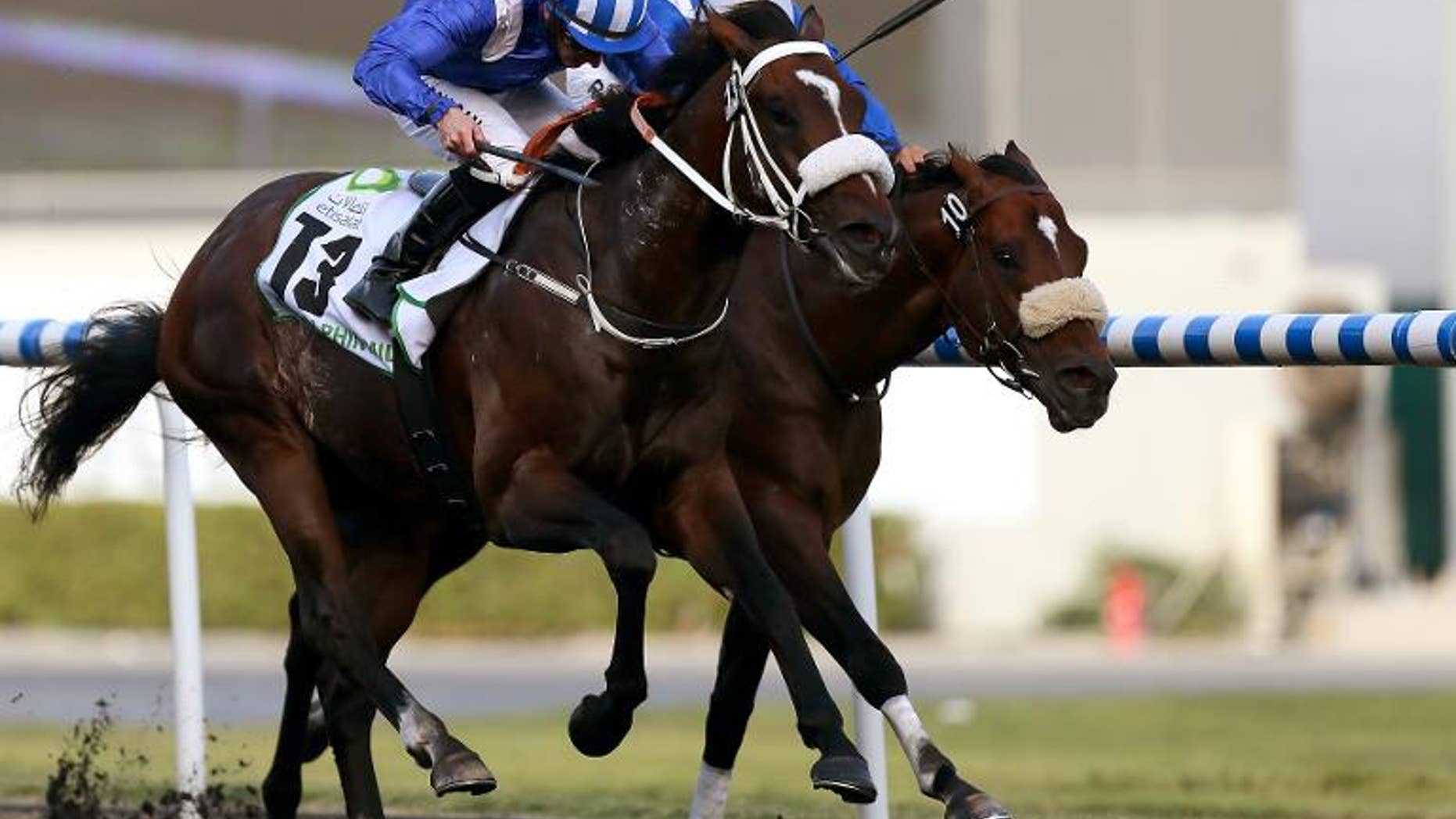 Jockey Paul Hanagan leads Soft Falling Rain owned by Dubai Crown Prince Sheikh Hamad Bin Rashid al-Maktoum to win the Godolphin Mile in the Dubai World Cup meet on March 30, 2013