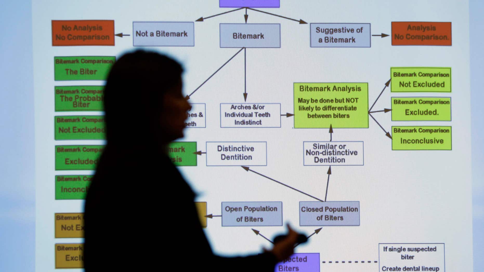 Feb. 11, 2016: Lynn Garcia uses a chart as she takes part in a Texas Forensic Science Commission meeting to consider recommendations against using bite mark analysis in criminal cases/