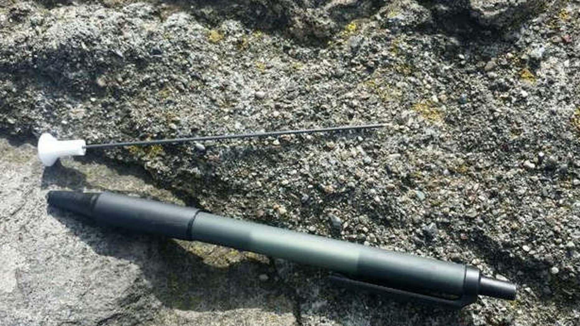 Photo shows a blow dart that struck a pedestrian walking on the Golden Gate Bridge.