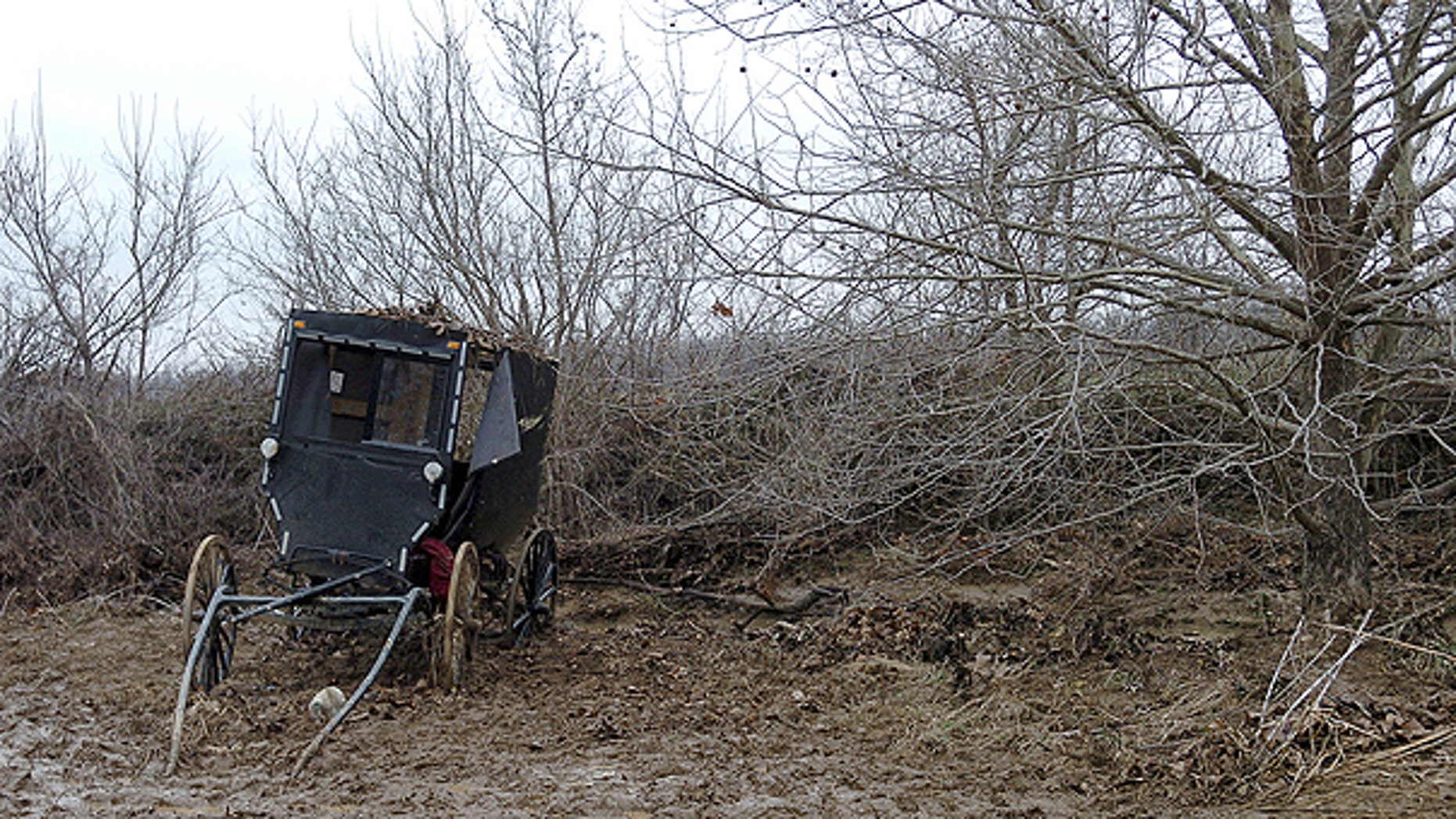 Feb. 25: The ravaged buggy of an Amish family is seen in a field along Roscoe Creek, in Hickman County near Dublin, Ky.