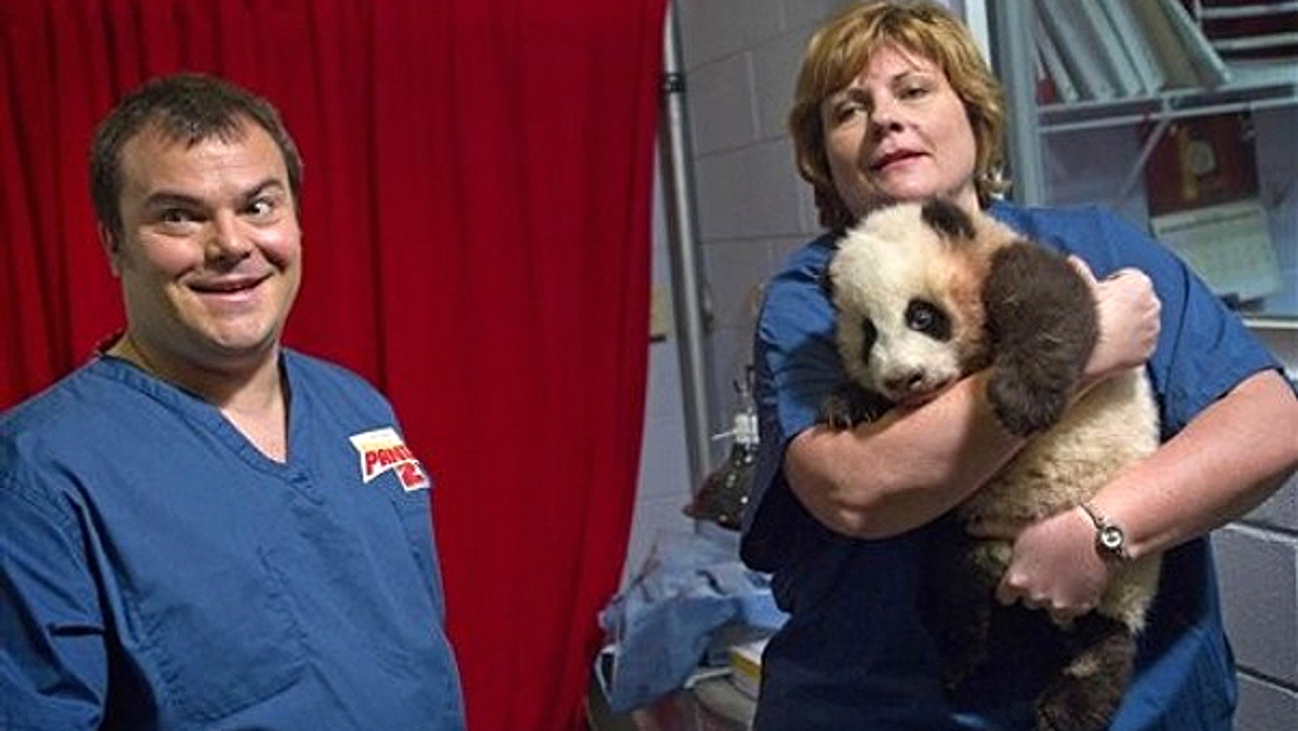 Feb. 15: Dr. Hayley Murphy, director of veterinary services at Zoo Atlanta, right, brings out a 3-month-old giant panda cub as actor Jack Black looks on before a naming ceremony in Atlanta.