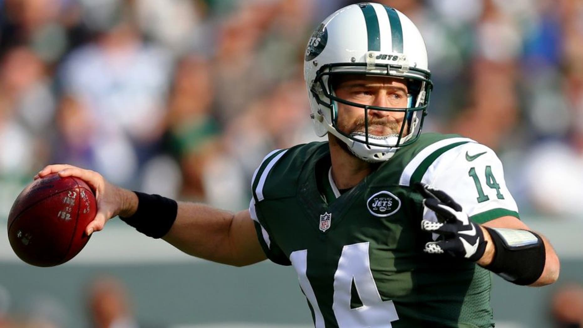 Dec 13, 2015; East Rutherford, NJ, USA; New York Jets quarterback Ryan Fitzpatrick (14) drops back to pass against the Tennessee Titans during the first quarter at MetLife Stadium. Mandatory Credit: Brad Penner-USA TODAY Sports