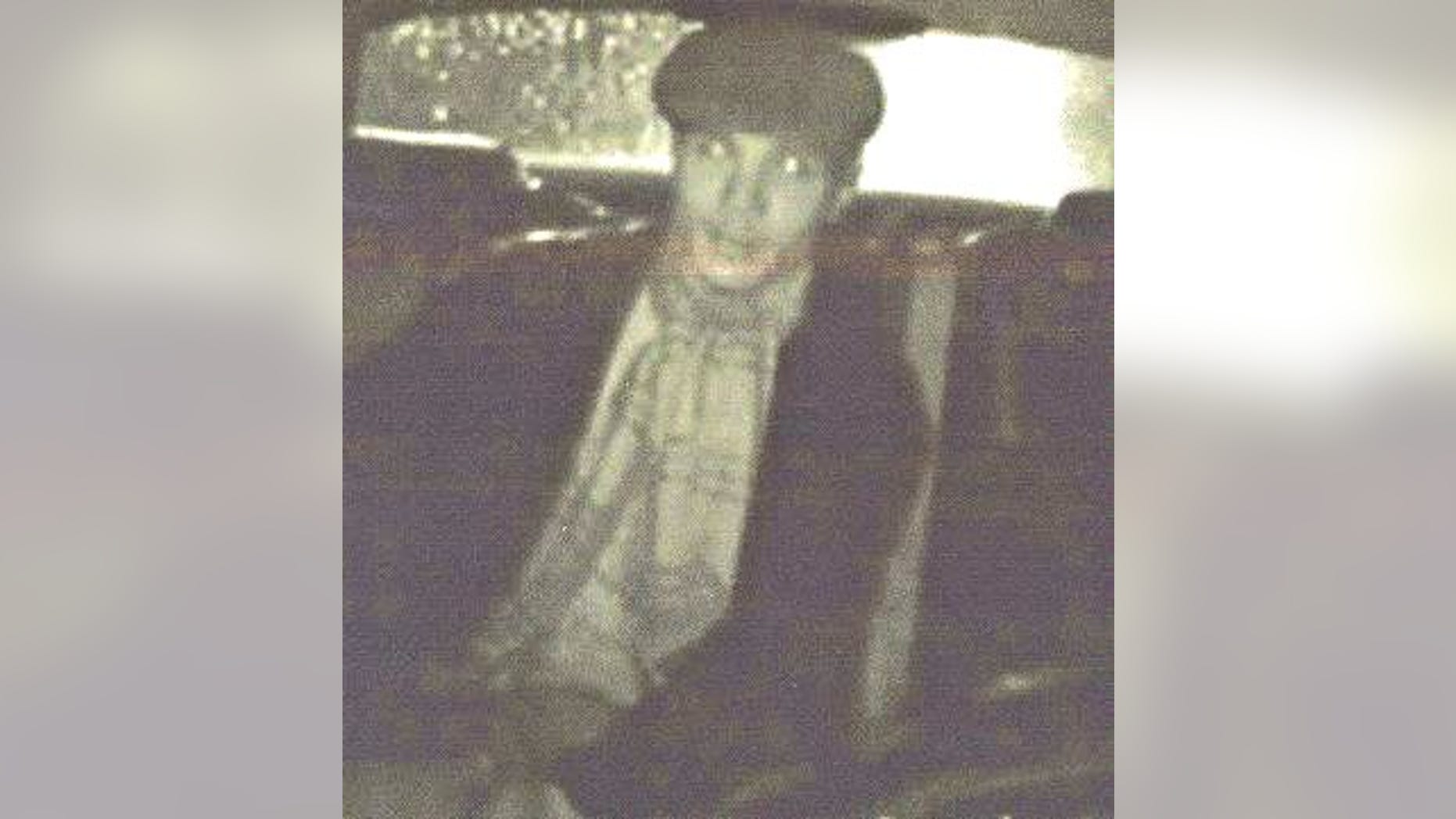 Suspect in savage attack on New York City cab driver shown in this photo released by the NYPD.