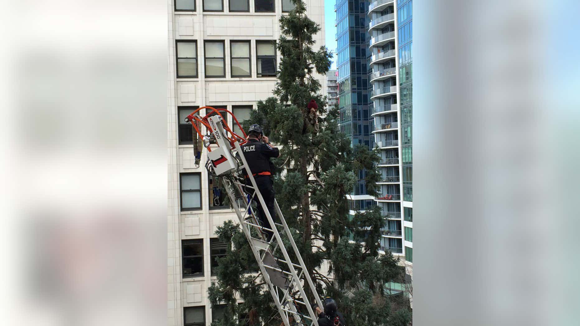 Picture shows a paramedic trying to convince a man in a red hat to get down from an 80-foot tree in Seattle.