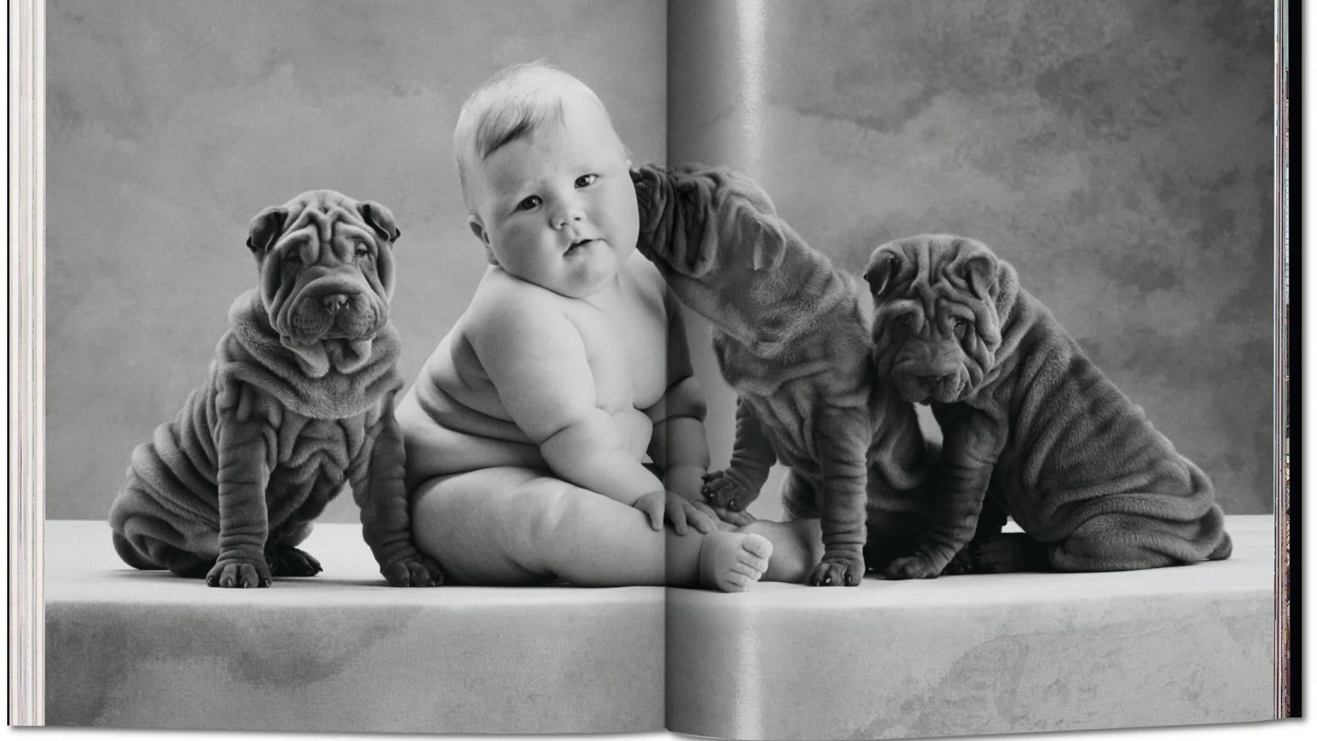 anne geddes photography
