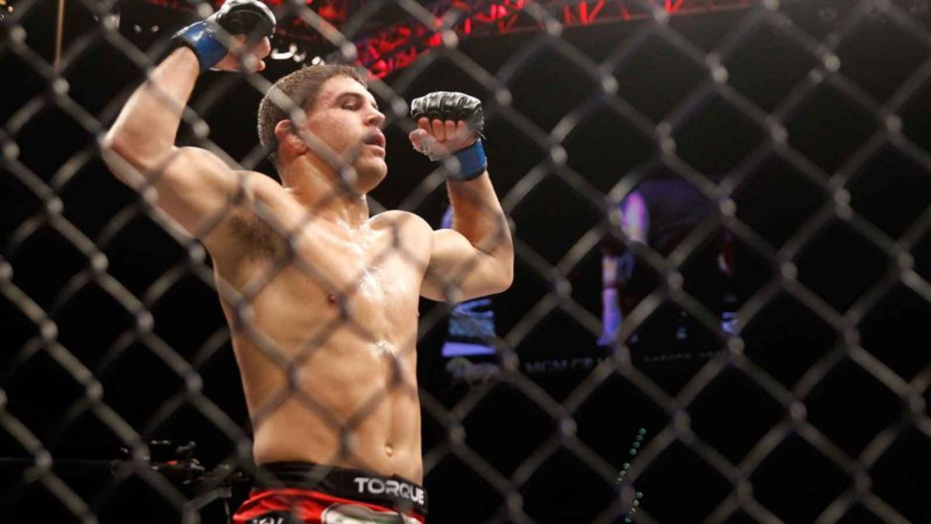 LAS VEGAS, NV - JANUARY 31: Al Iaquinta celebrates after defeating Joe Lauzon in their lightweight bout during UFC 183 at the MGM Grand Garden Arena on January 31, 2015 in Las Vegas, Nevada. Iaquinta won with a second-round TKO. (Photo by Steve Marcus/Getty Images)