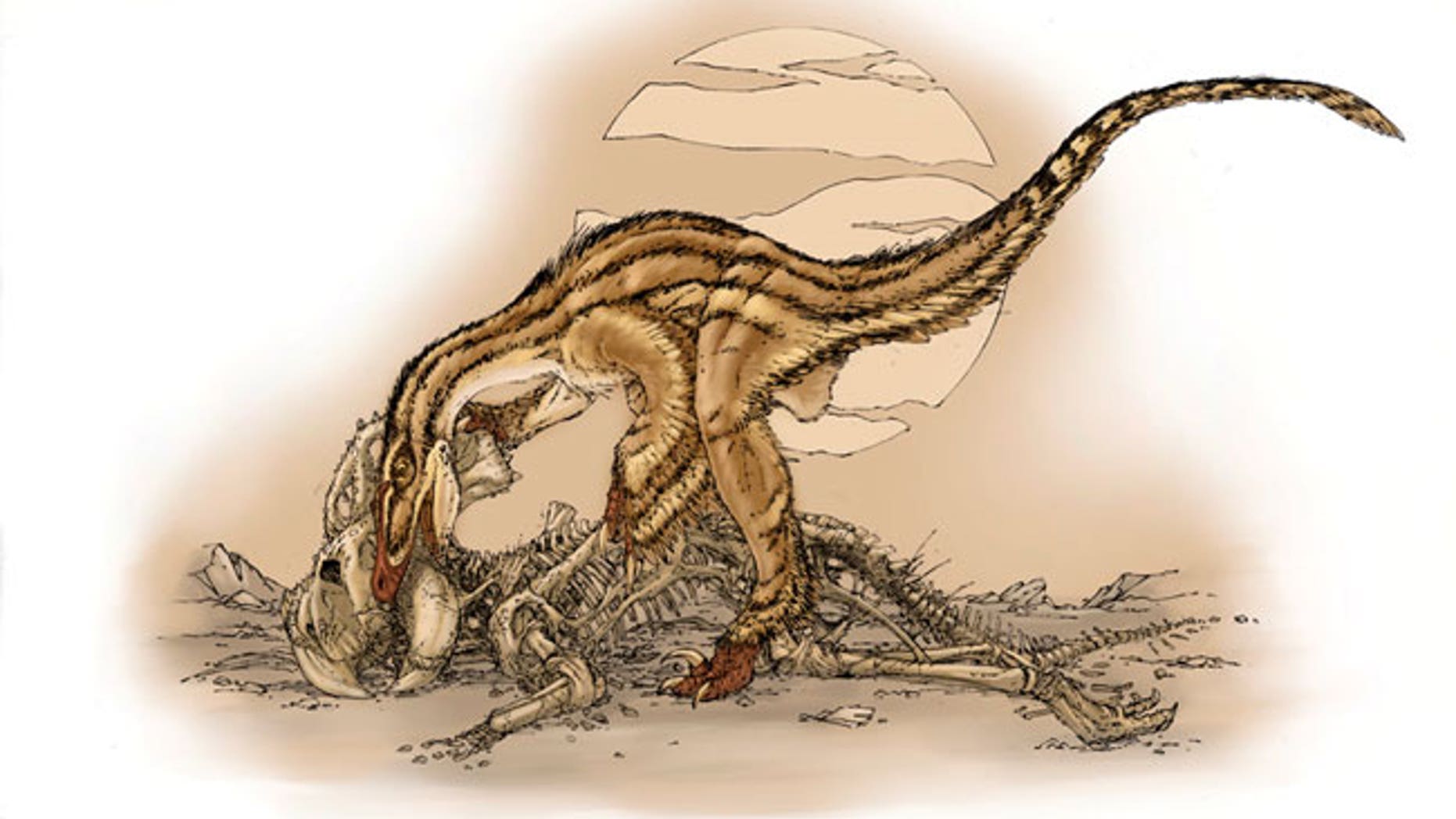 Velociraptor Caught in the Act | Fox News