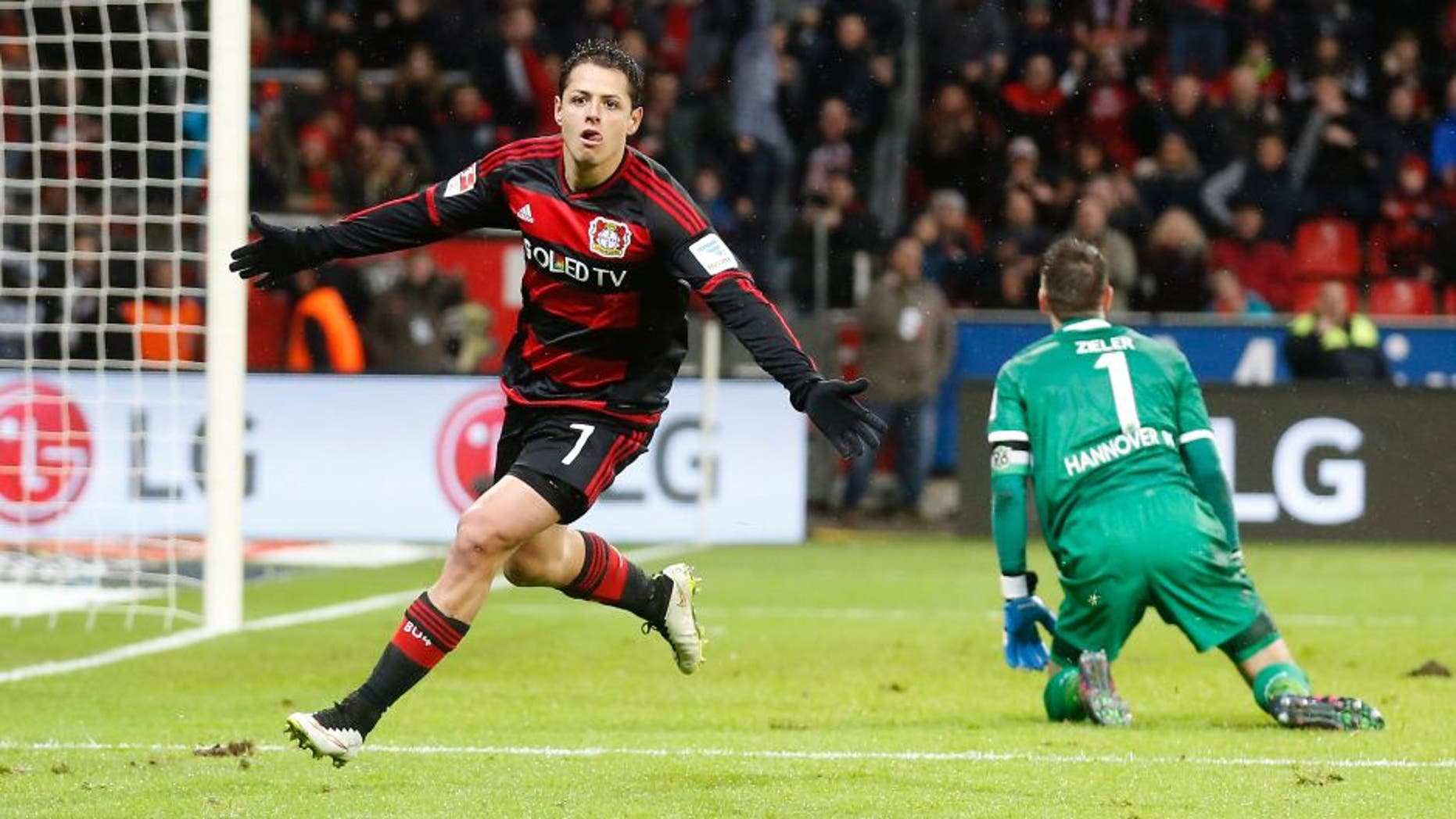 LEVERKUSEN, GERMANY - JANUARY 30: Javier Hernandez Chicharito of Leverkusen celebrates scoring the 3:0 during the Bundesliga match between Bayer Leverkusen and Hannover 96 at BayArena on January 30, 2016 in Leverkusen, Germany. (Photo by Mika Volkmann/Bongarts/Getty Images)